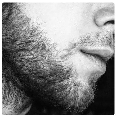 Natural Men Beard Oil for Men